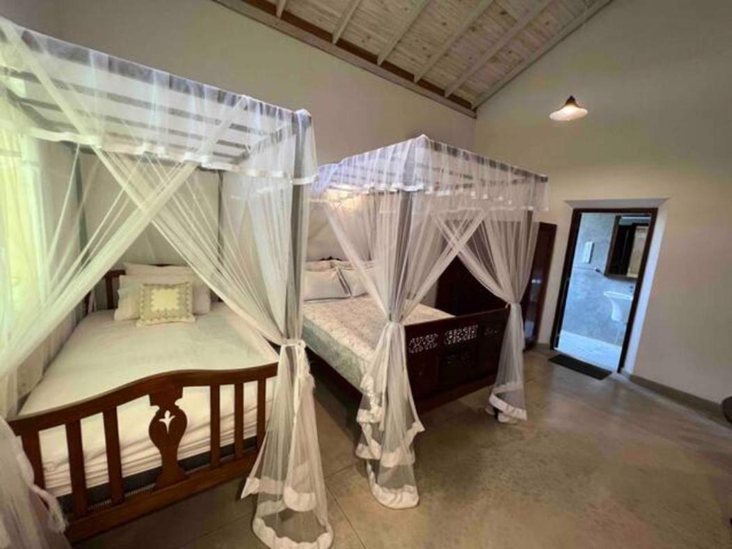Wattala Villa- The Guardian Bungalow Екстериор снимка